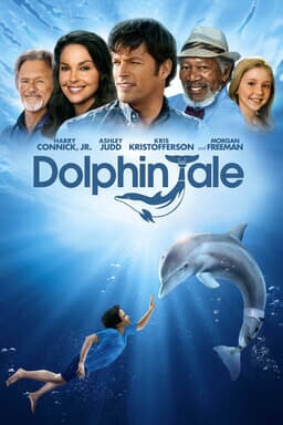 Dolphin Tale - Illustration