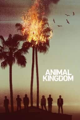 Animal Kingdom - Seizoen 1 - Key Art